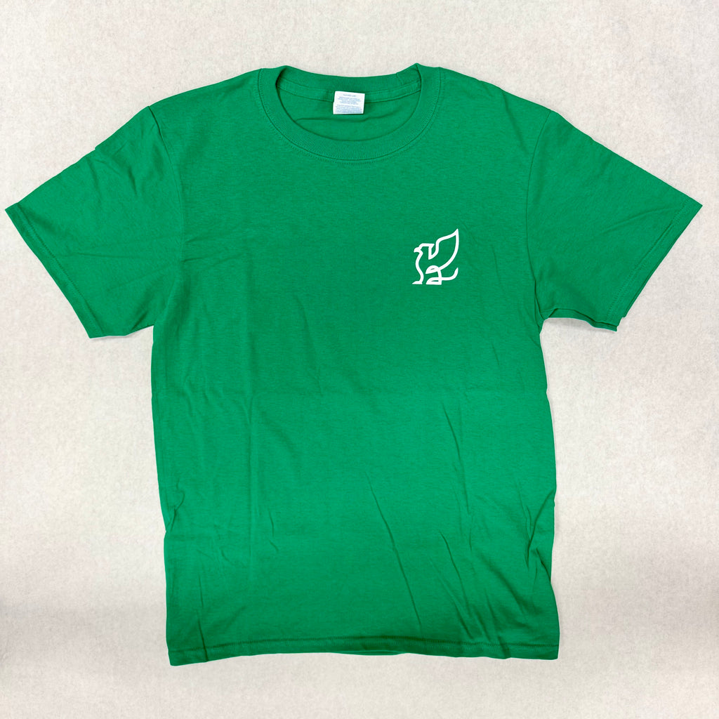 SALE! Youth T-shirt, Kelly